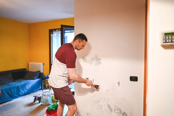 Best Office Mold Removal Services  in Scotts Hill, TN